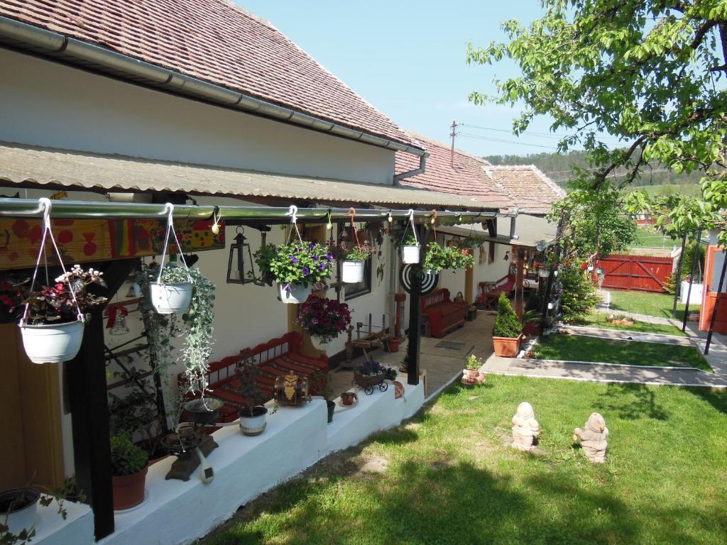 Pension Bassen Базна Экстерьер фото
