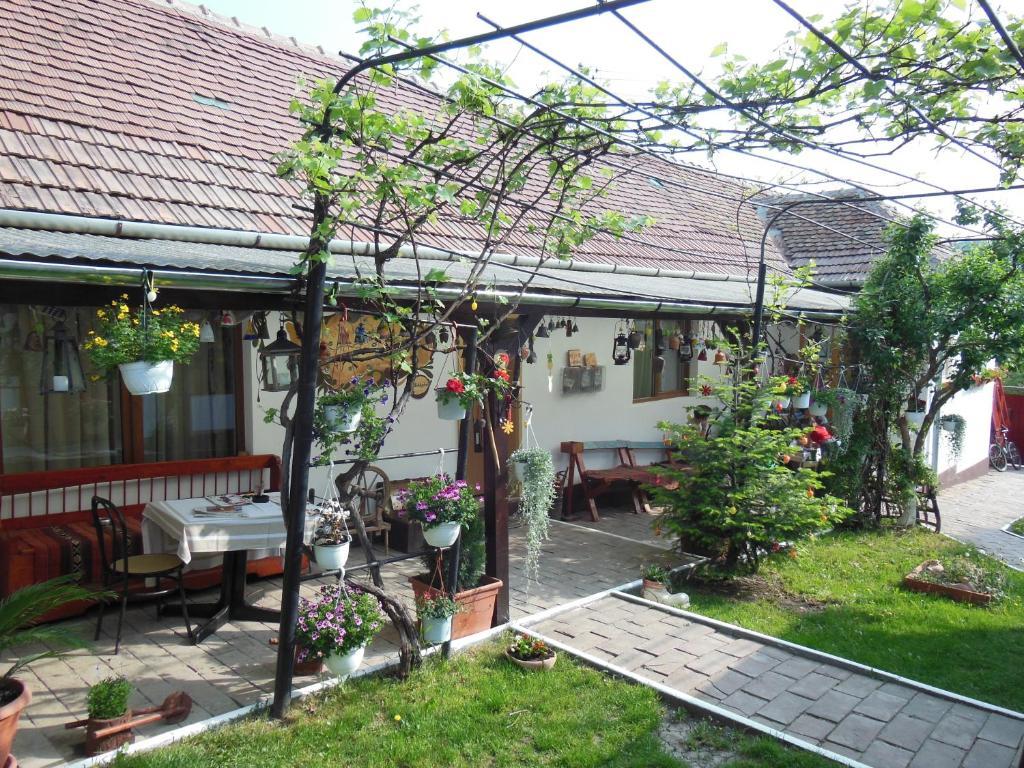 Pension Bassen Базна Экстерьер фото