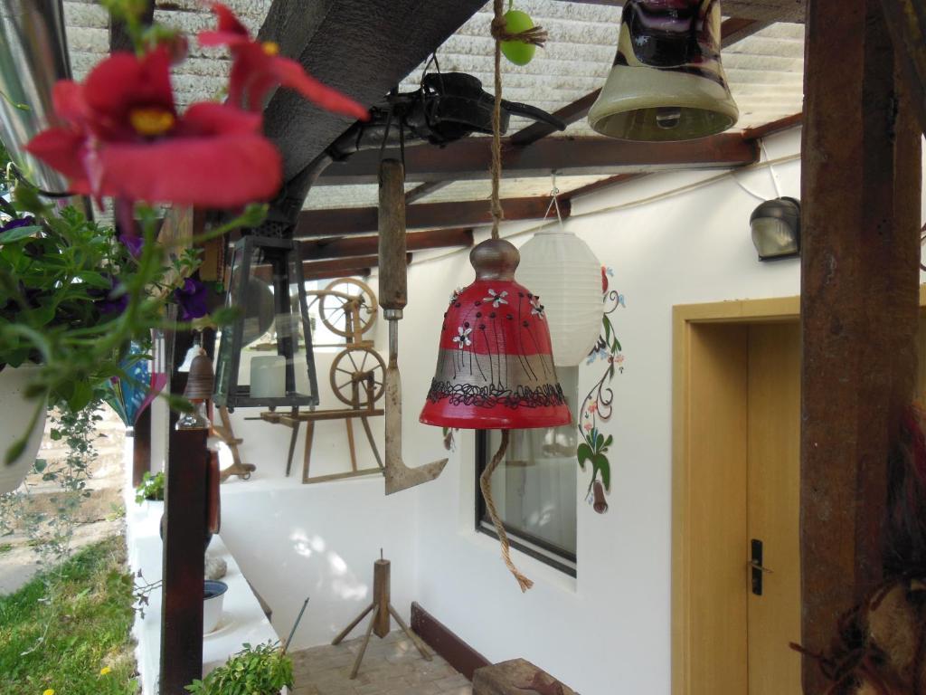 Pension Bassen Базна Экстерьер фото