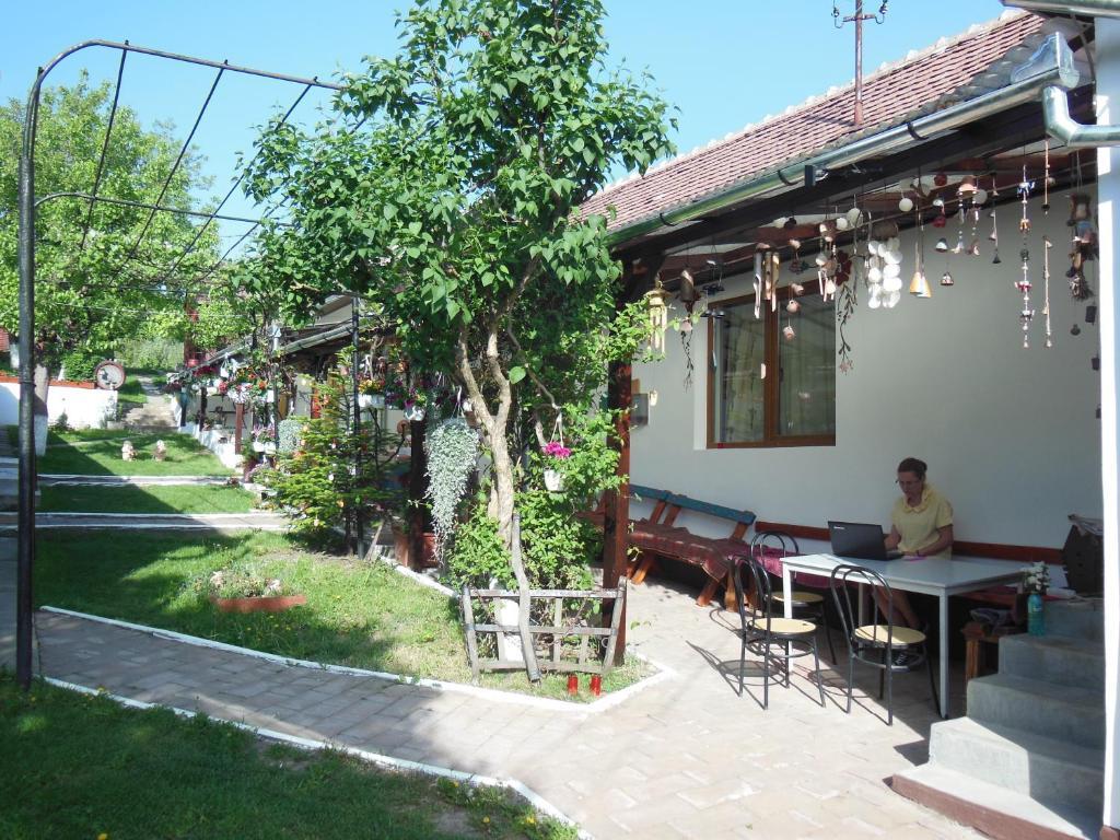 Pension Bassen Базна Экстерьер фото