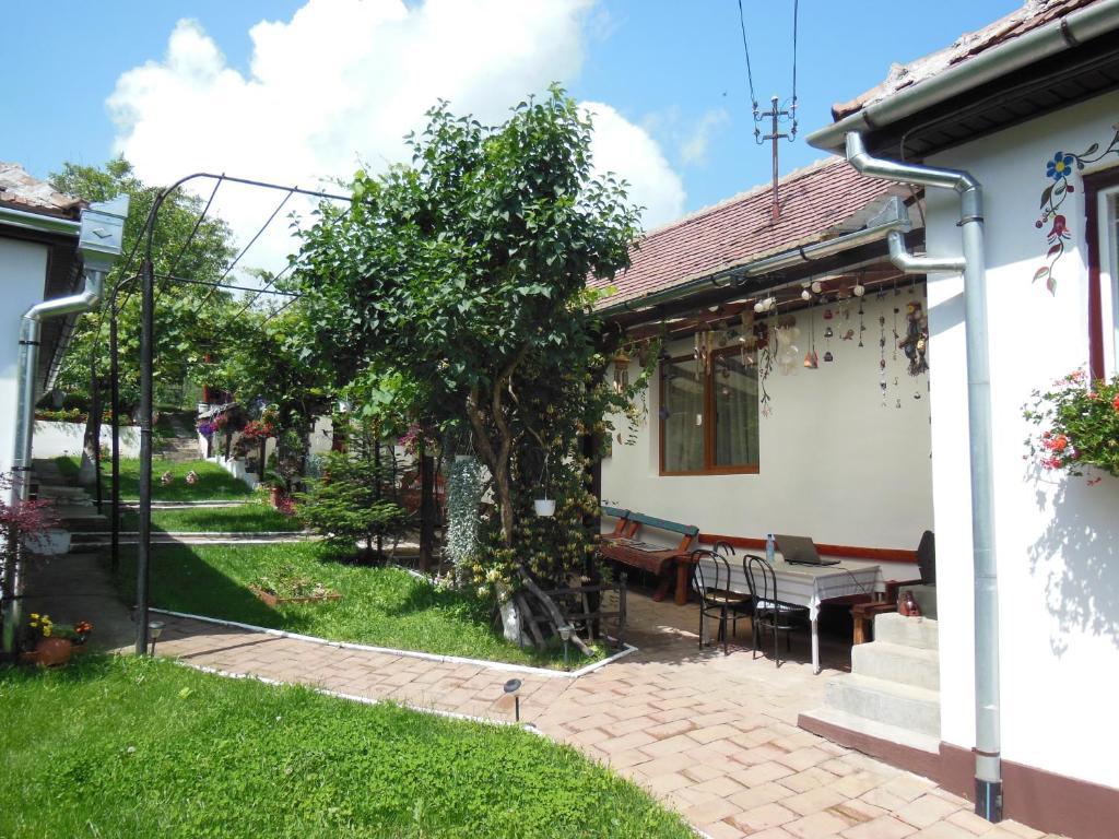 Pension Bassen Базна Экстерьер фото