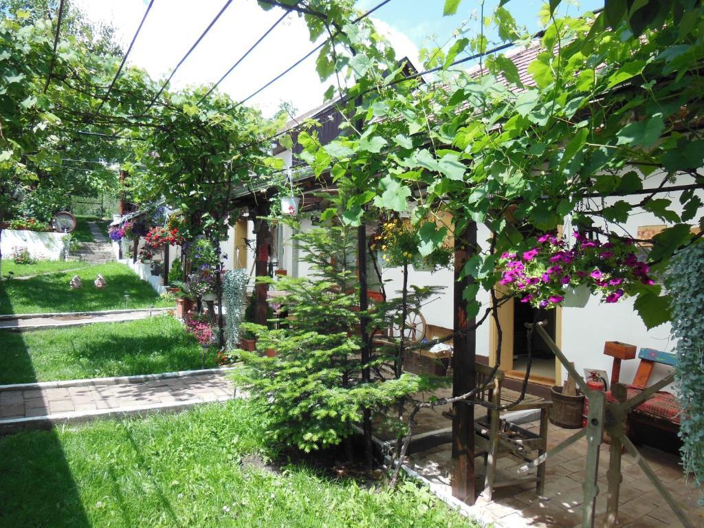 Pension Bassen Базна Экстерьер фото