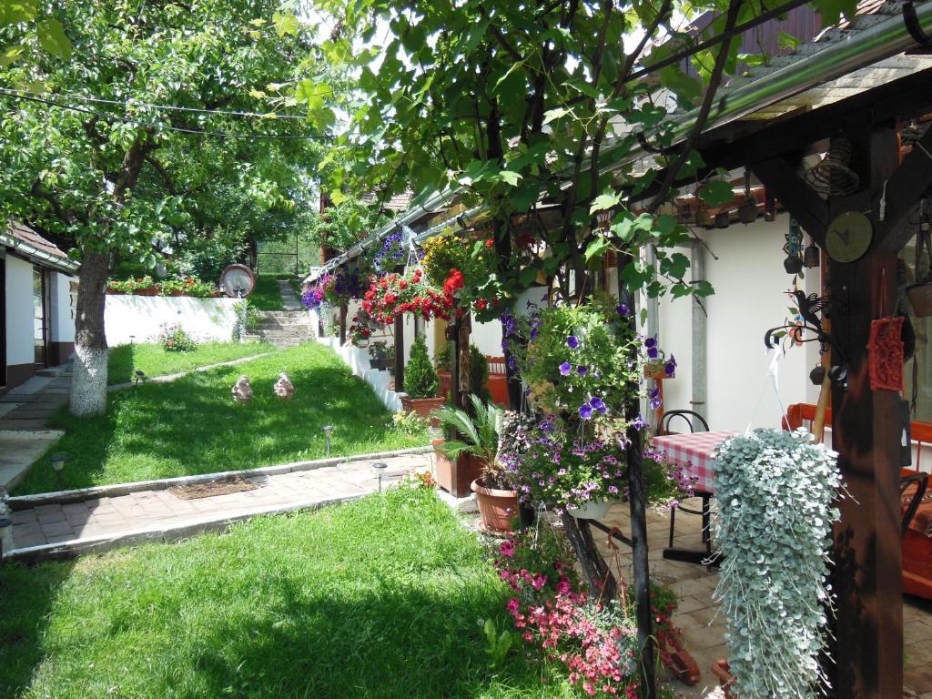 Pension Bassen Базна Экстерьер фото