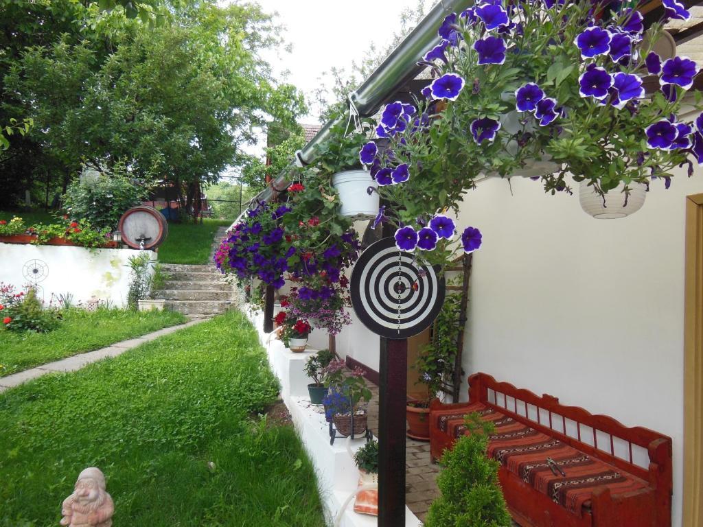 Pension Bassen Базна Экстерьер фото