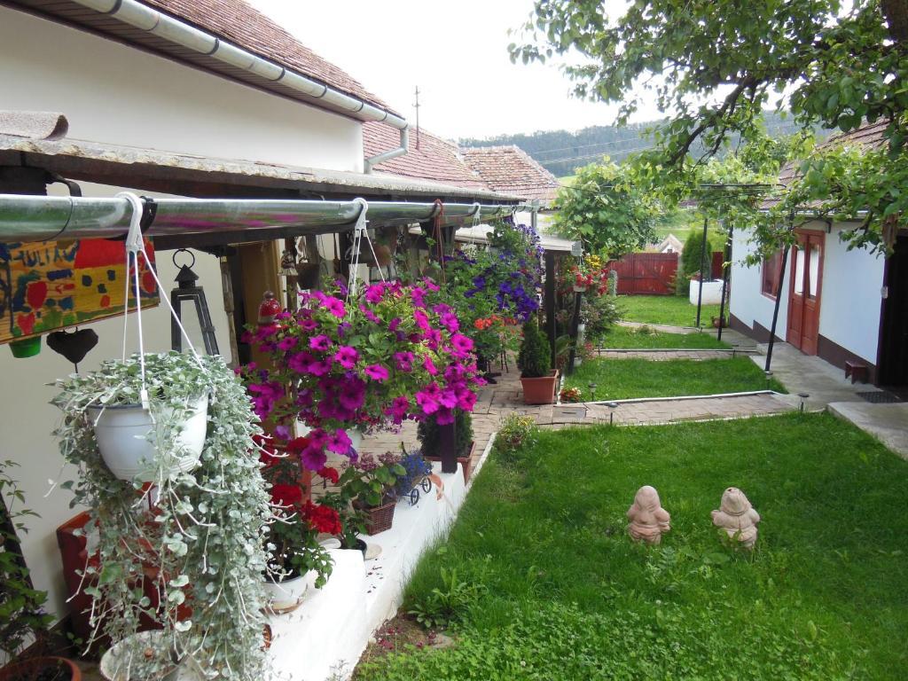 Pension Bassen Базна Экстерьер фото