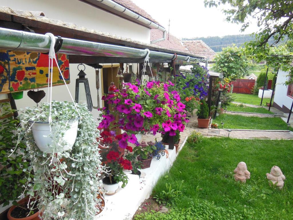 Pension Bassen Базна Экстерьер фото