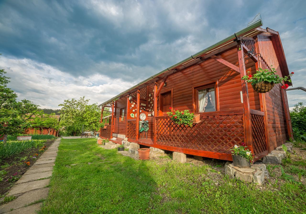 Pension Bassen Базна Экстерьер фото