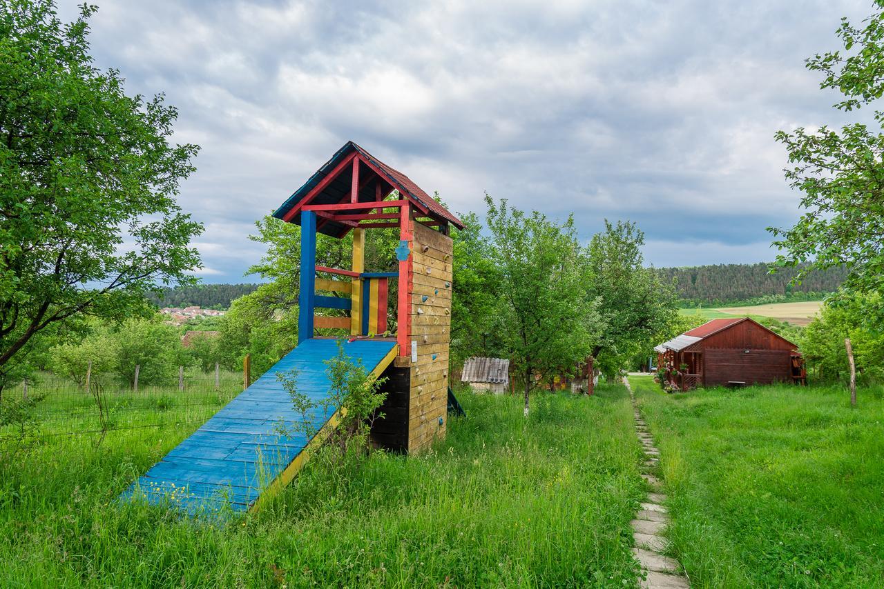 Pension Bassen Базна Экстерьер фото