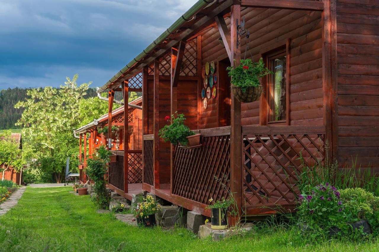 Pension Bassen Базна Экстерьер фото