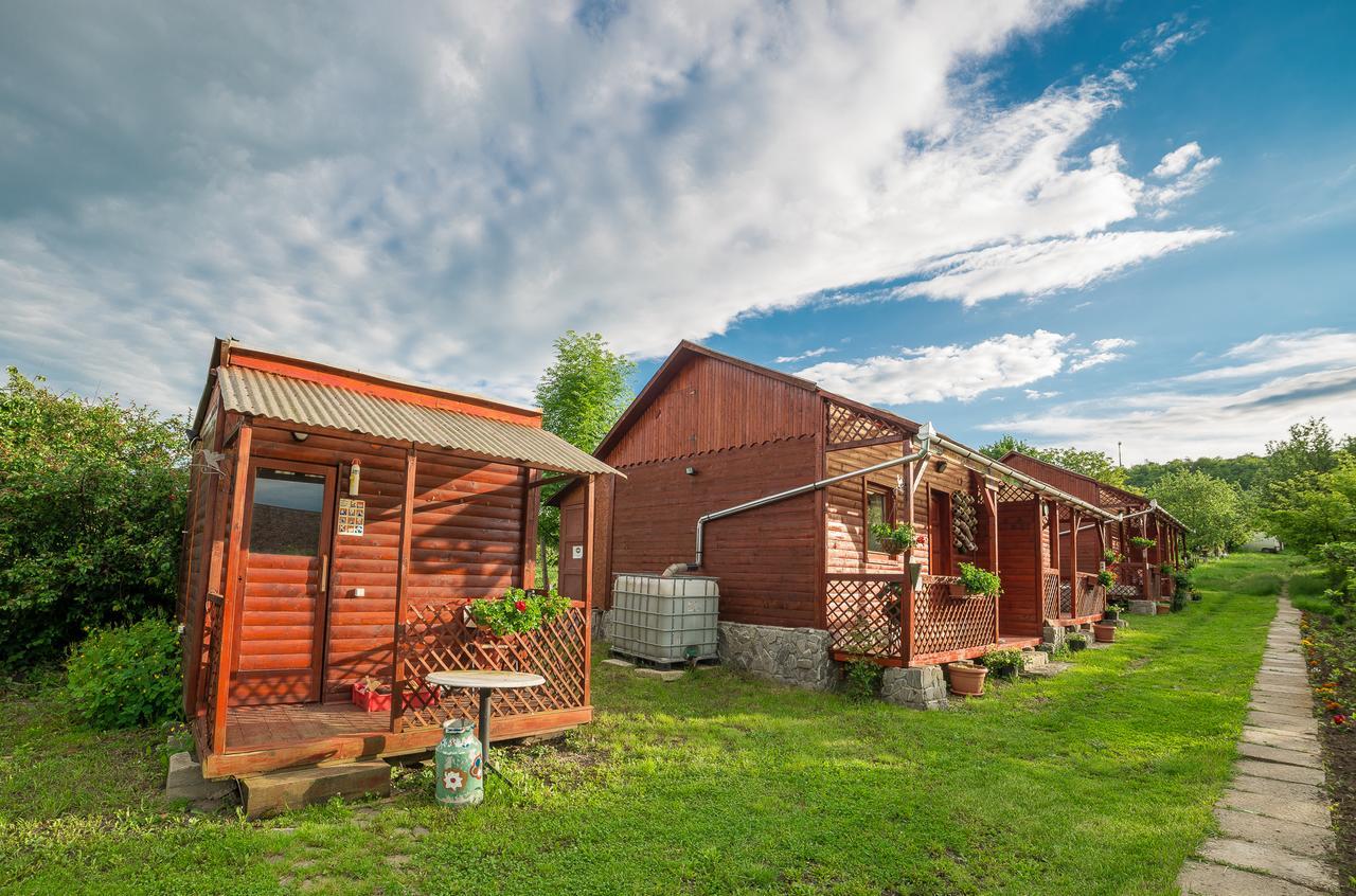 Pension Bassen Базна Экстерьер фото