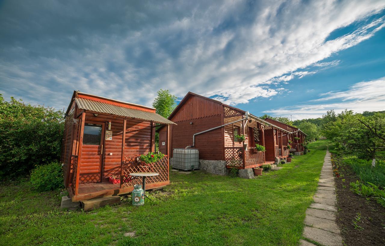Pension Bassen Базна Экстерьер фото