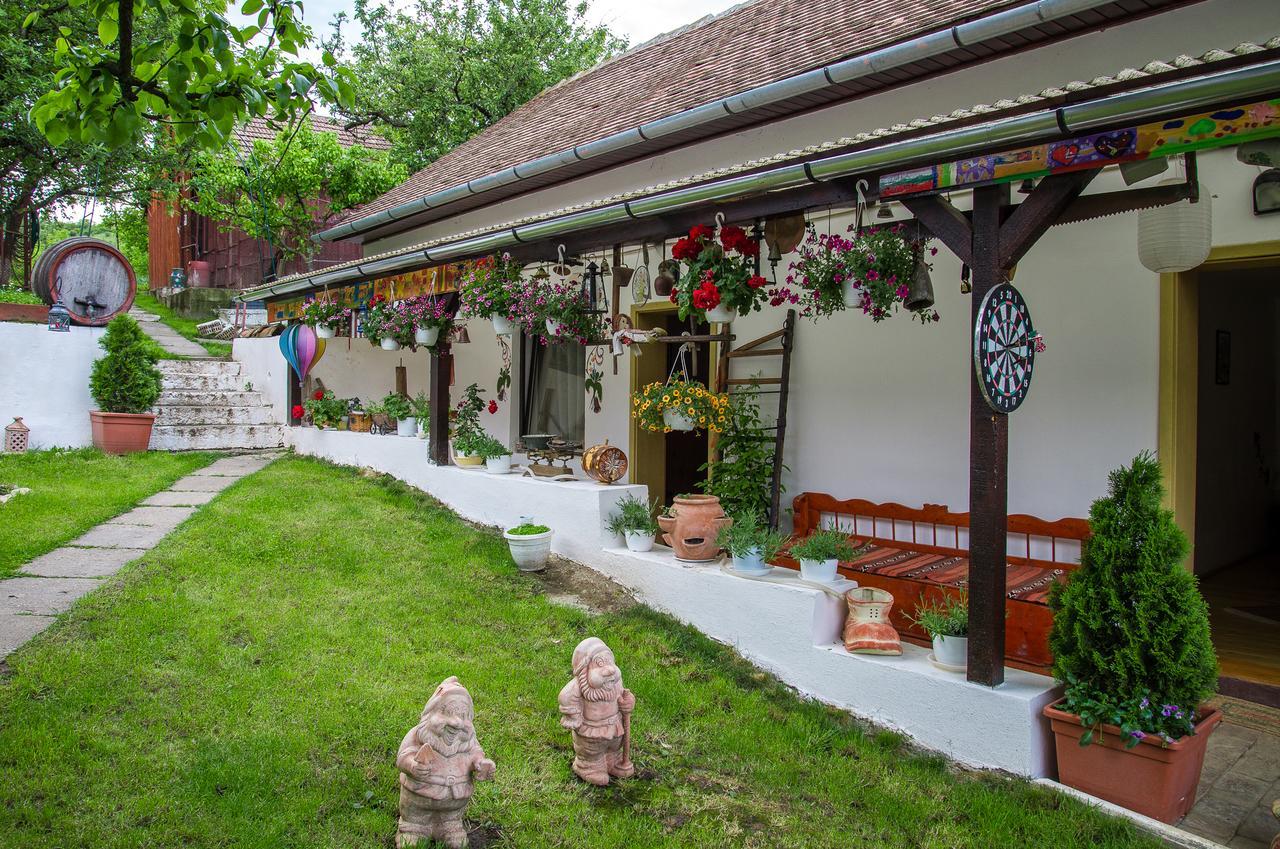 Pension Bassen Базна Экстерьер фото